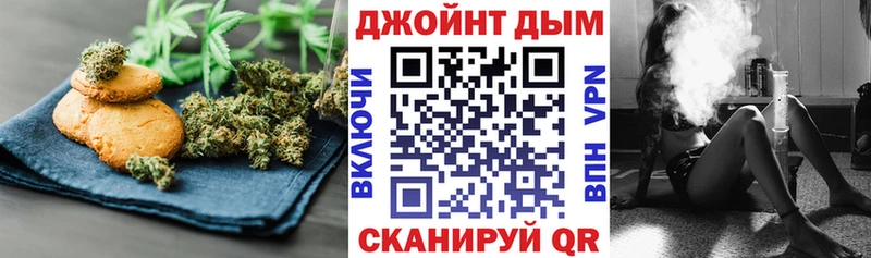 Canna-Cookies конопля  Купить  Яровое 